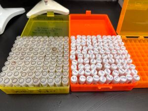 Samples at IntusBio