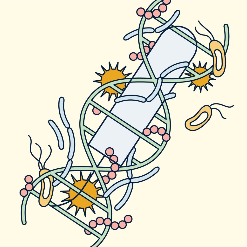 Illustration of tampon collection