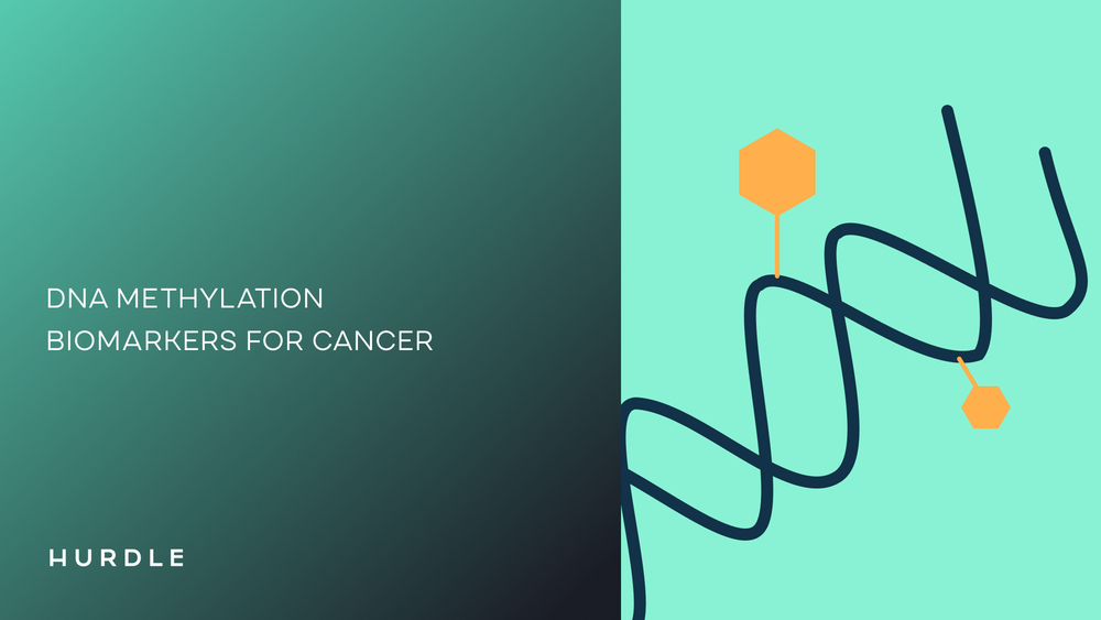 DNA Methylation Biomarkers for Cancer